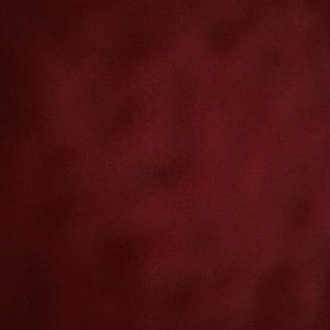 Meet your Posher, Taelor